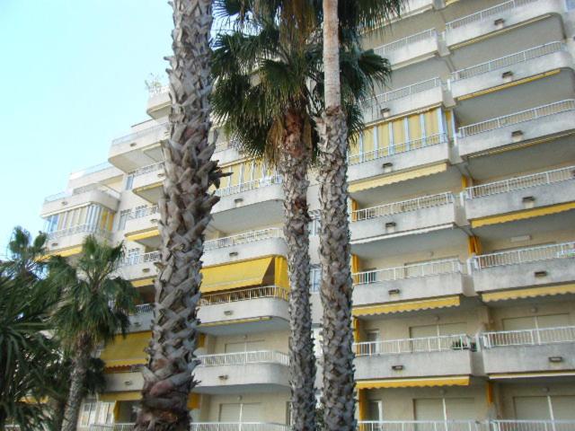 Apartamentos Marblau Varios 1, 2 Y 3 Dormitorios - Julio Y Agosto Solo Familias Playa de Gandia Extérieur photo